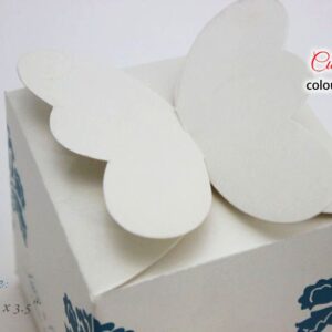 Sweet-Cake-Box-Butterfly-Style-2